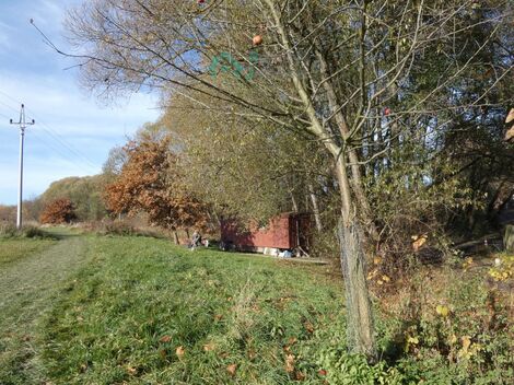 foto02_11462116_538rc.jpg