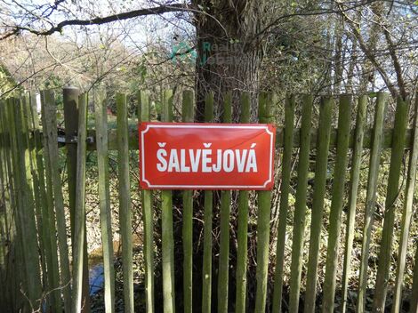foto02_11462116_y1naw.jpg