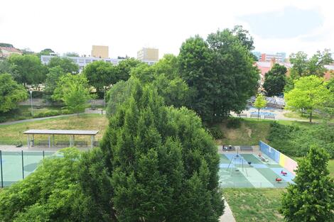 foto02_11320386_ayfjc.jpg