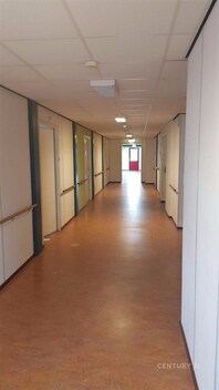 foto04_11236866_gk4q4.jpg