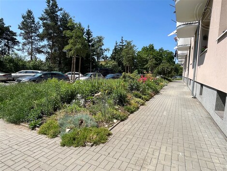 foto04_11335848_pmofo.jpg