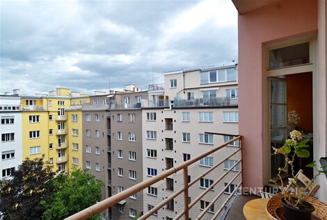 foto04_11343416_c5fu8.jpg