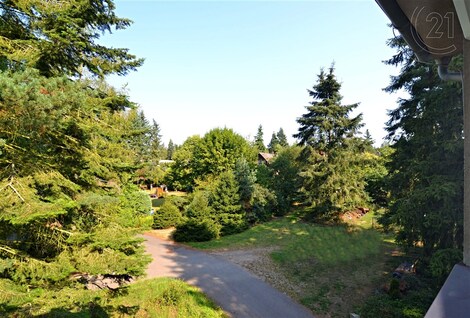 foto04_11378569_zelnc.jpg