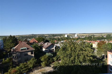 foto04_11540211_hzd3c.jpg