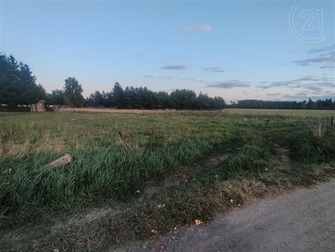 foto04_11369690_7h9wk.jpg