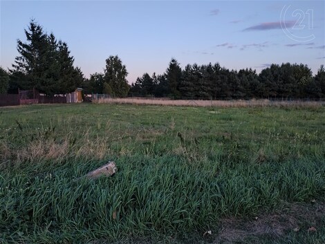foto04_11369690_cuks.jpg