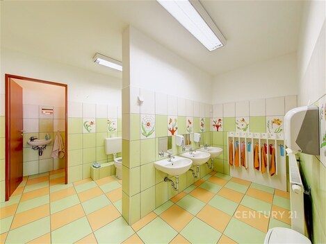 foto04_11478786_sh8pw.jpg