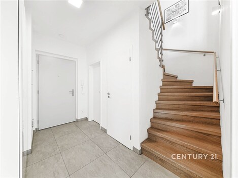 foto04_11545339_8zycg.jpg