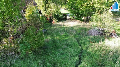 foto07_11558663_59667.jpg