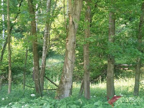 foto02_11336121_m2si0.jpg