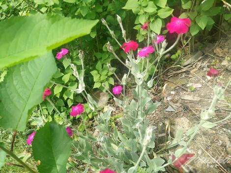 foto02_11346279_1pbeo.jpg