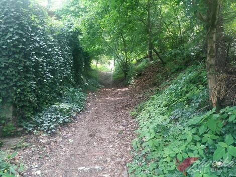 foto02_11346279_wphw4.jpg