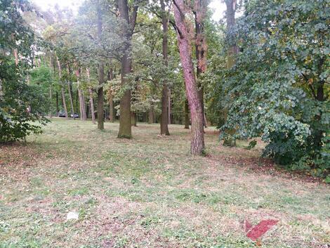 foto02_11379743_eo87c.jpg