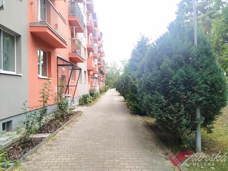 foto02_11379743_euf4c.jpg