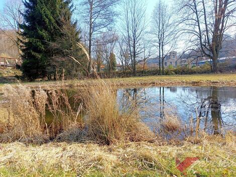 foto02_11468472_1ed2lo.jpg