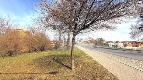 foto02_11514776_tj0lg.jpg
