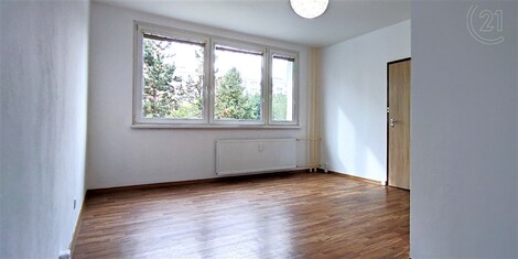 foto04_11379082_1lkfps.jpg