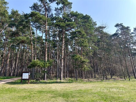 foto04_11493909_33kcw.jpg