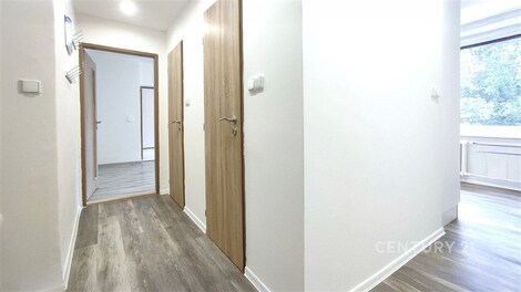 foto04_11546555_1cz4dk.jpg