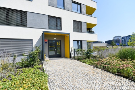 foto05_11365755_3vrik.jpg