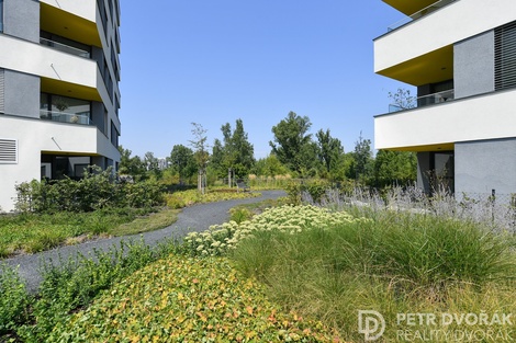 foto05_11365755_8frgm.jpg
