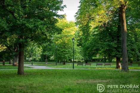 foto05_11502153_6igrc.jpg