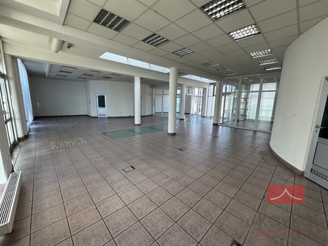 foto16_11479708_89545.jpg