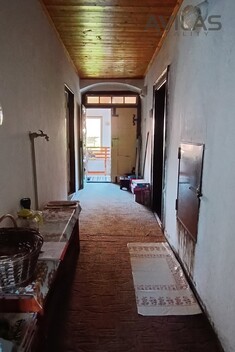 foto07_11372589_89623.jpg