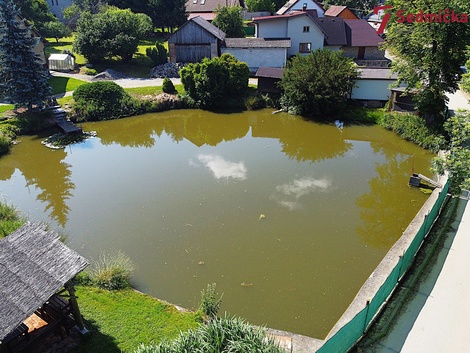 foto05_11364076_2suc.jpg