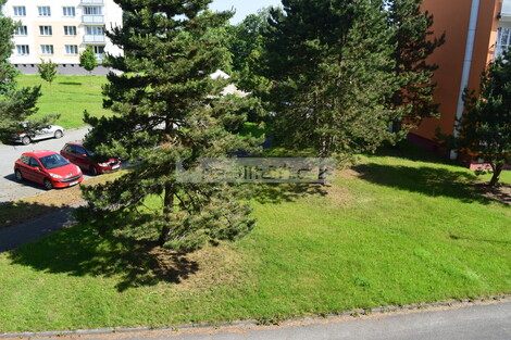foto07_11338042_13567.jpg