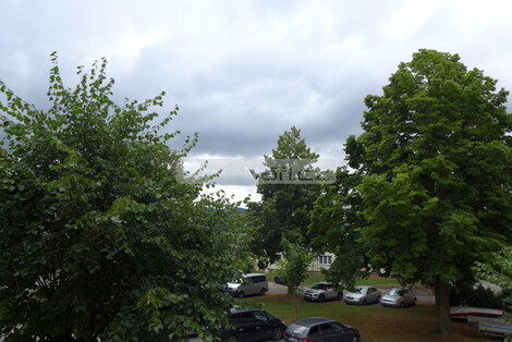 foto07_11476900_64474.jpg