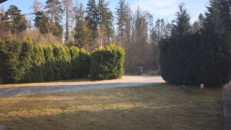 foto05_11449552_go3k.jpg