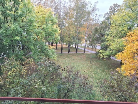foto05_11569628_40vig.jpg