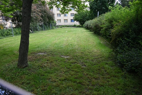 foto05_11338106_934da.jpg