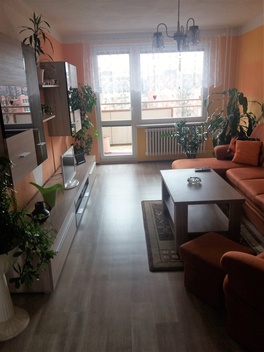 foto05_11354475_2mplk.jpg