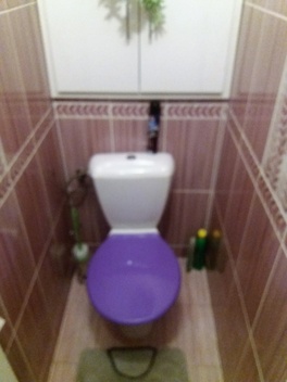 foto05_11354475_7f5f8.jpg