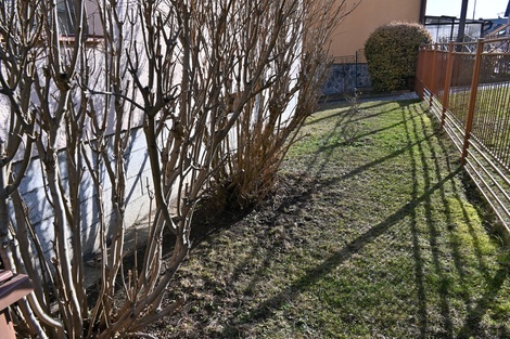 foto05_11443019_5qvas.jpg