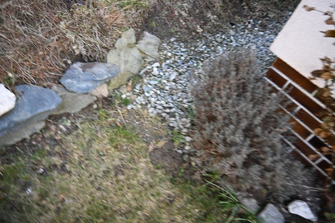 foto05_11476023_9dg0s.jpg