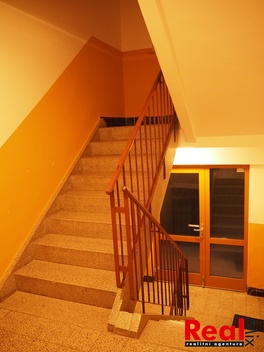 foto05_11372594_2d0jq.jpg