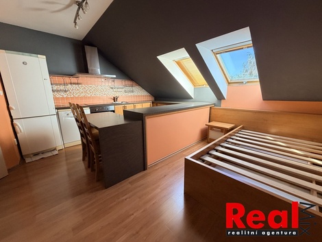 foto05_11540501_674t4.jpg