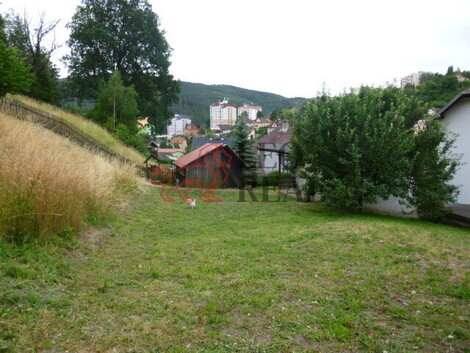 foto15_11384688_47513.jpg