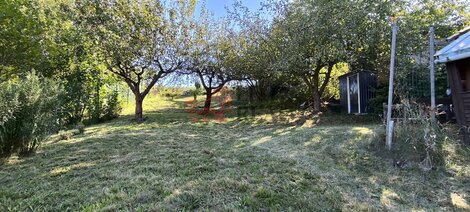 foto15_11529588_26699.jpg