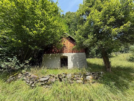 foto04_11356878_13xkp8.jpg