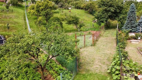foto04_11366319_1cfqro.jpg