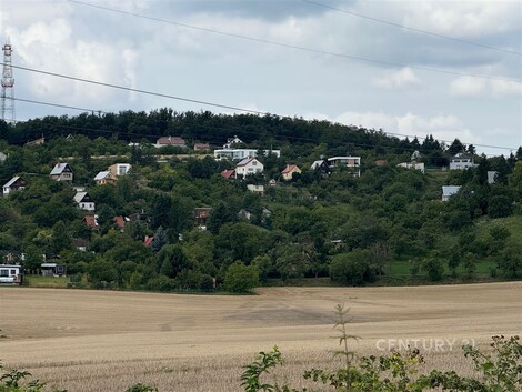 foto04_11366319_f4qnc.jpg