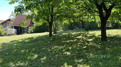 foto04_11506267_q6xiw.jpg
