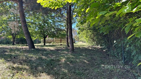 foto04_11506269_dtknk.jpg