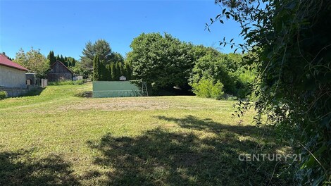foto04_11506270_kx5fc.jpg