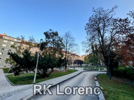 foto21_11503765_36470.jpg