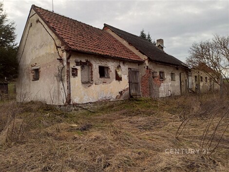 foto04_11319560_7falw.jpg
